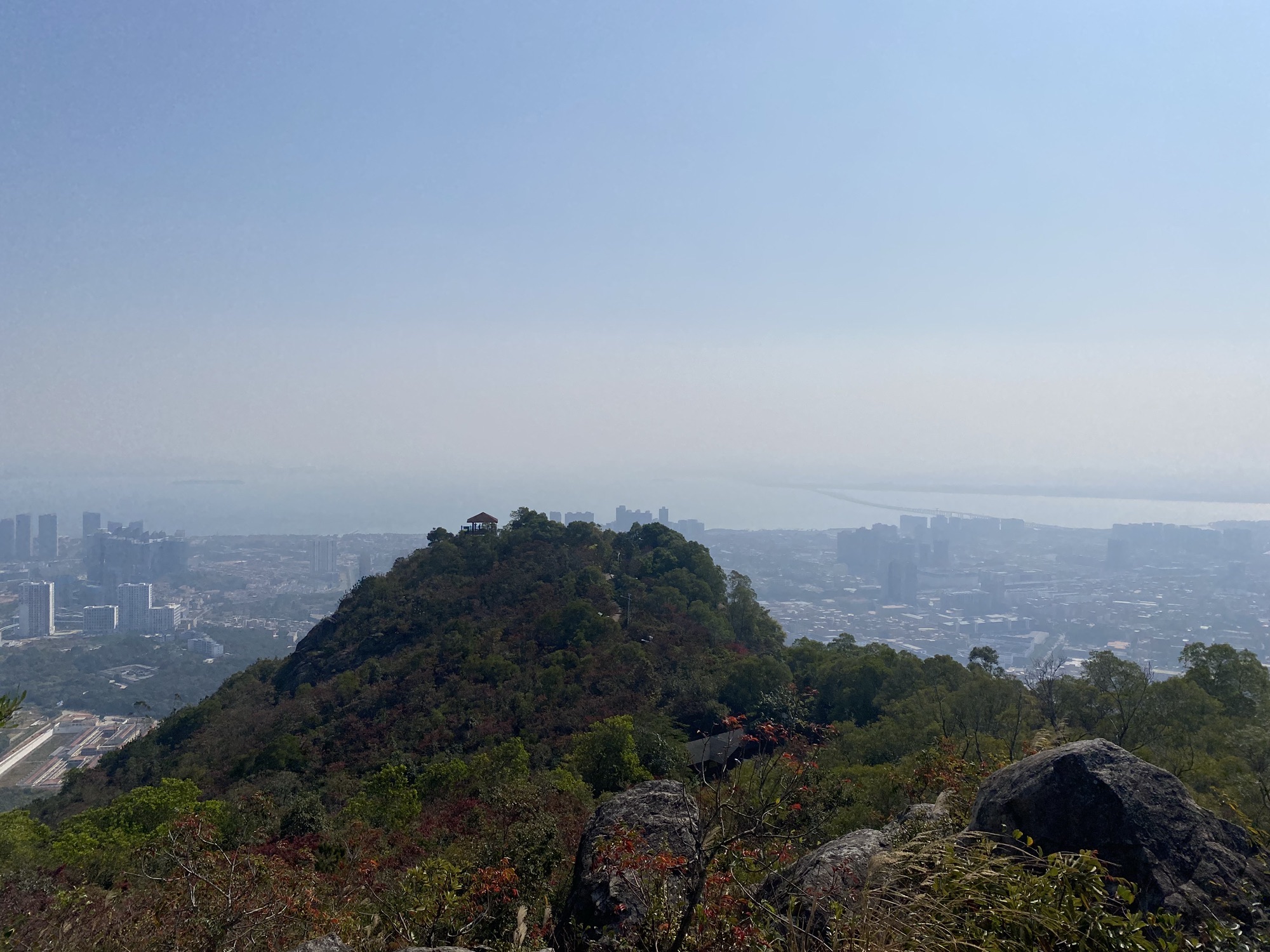 天马山郊野公园旅行图片 3