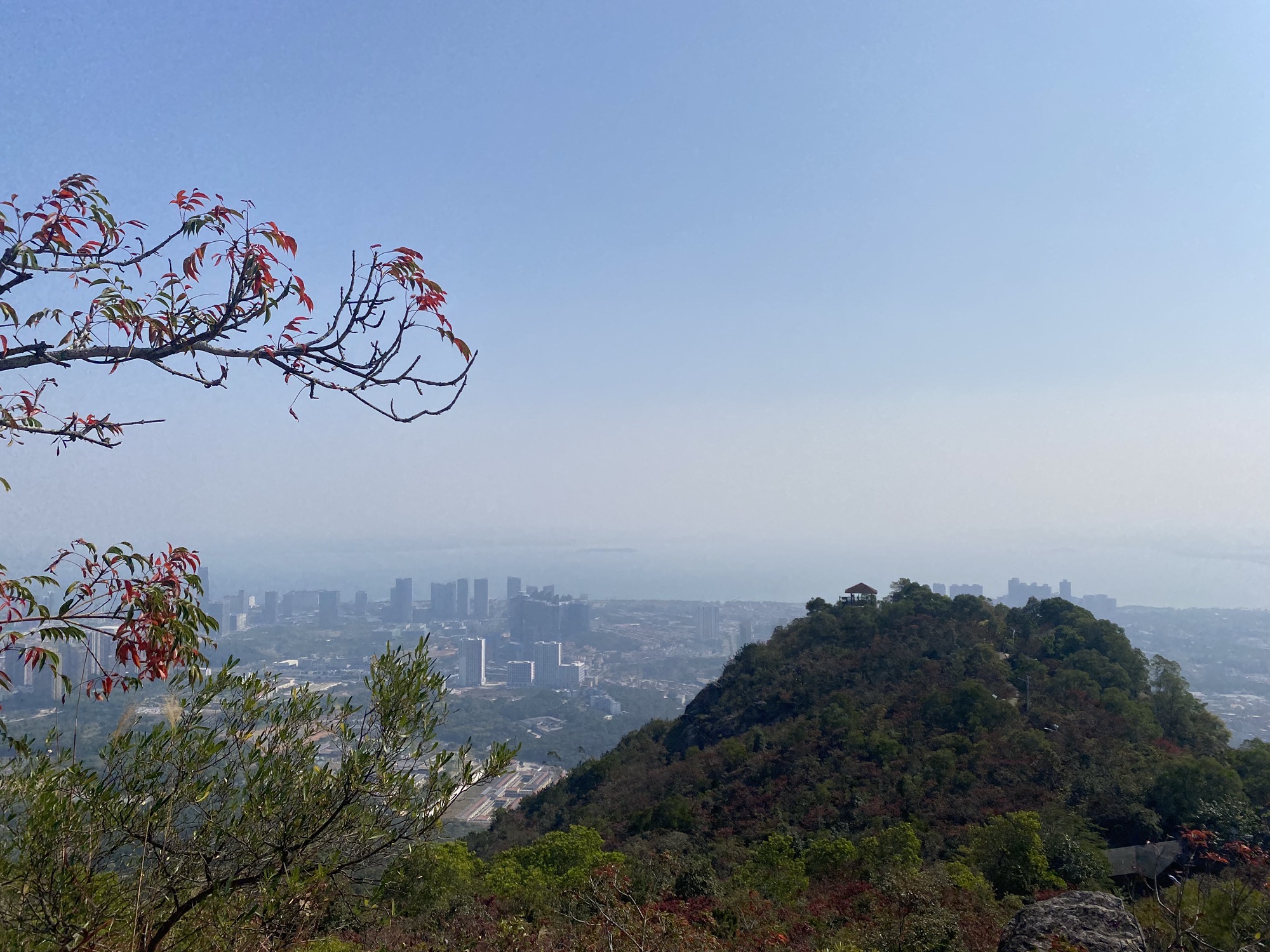 天马山郊野公园旅行图片 2
