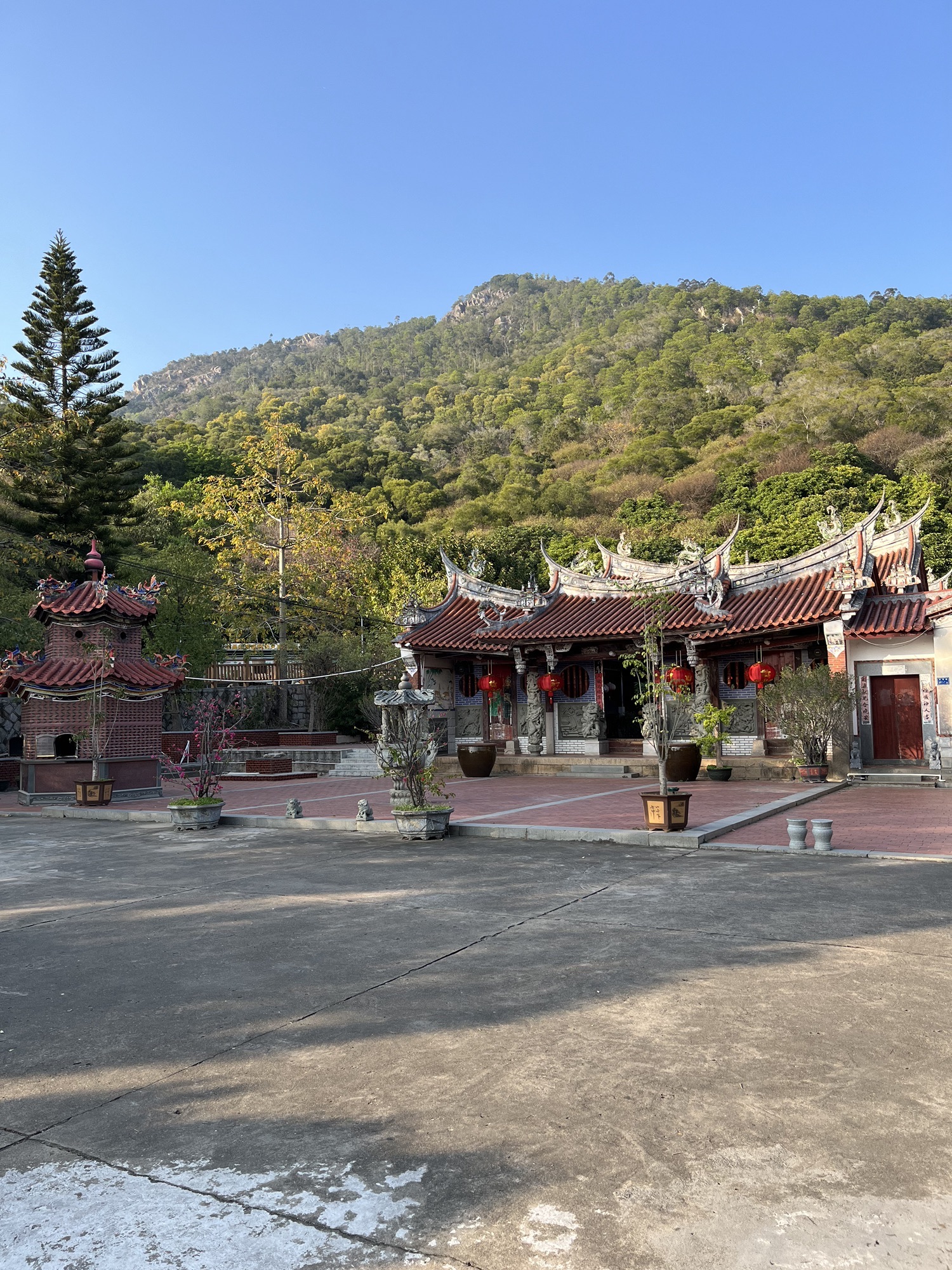 天马山郊野公园旅行图片 1
