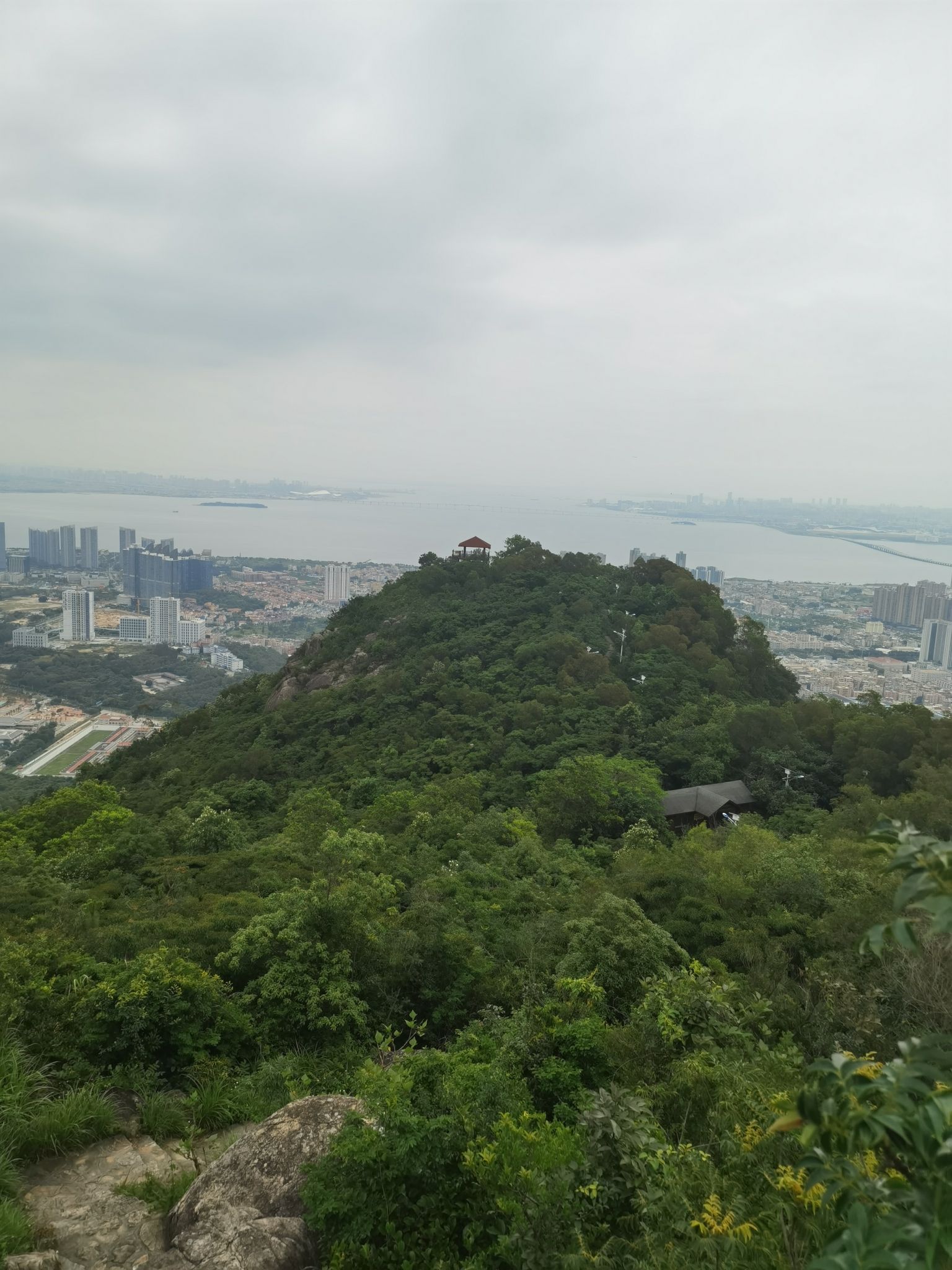 天马山郊野公园旅行图片 1