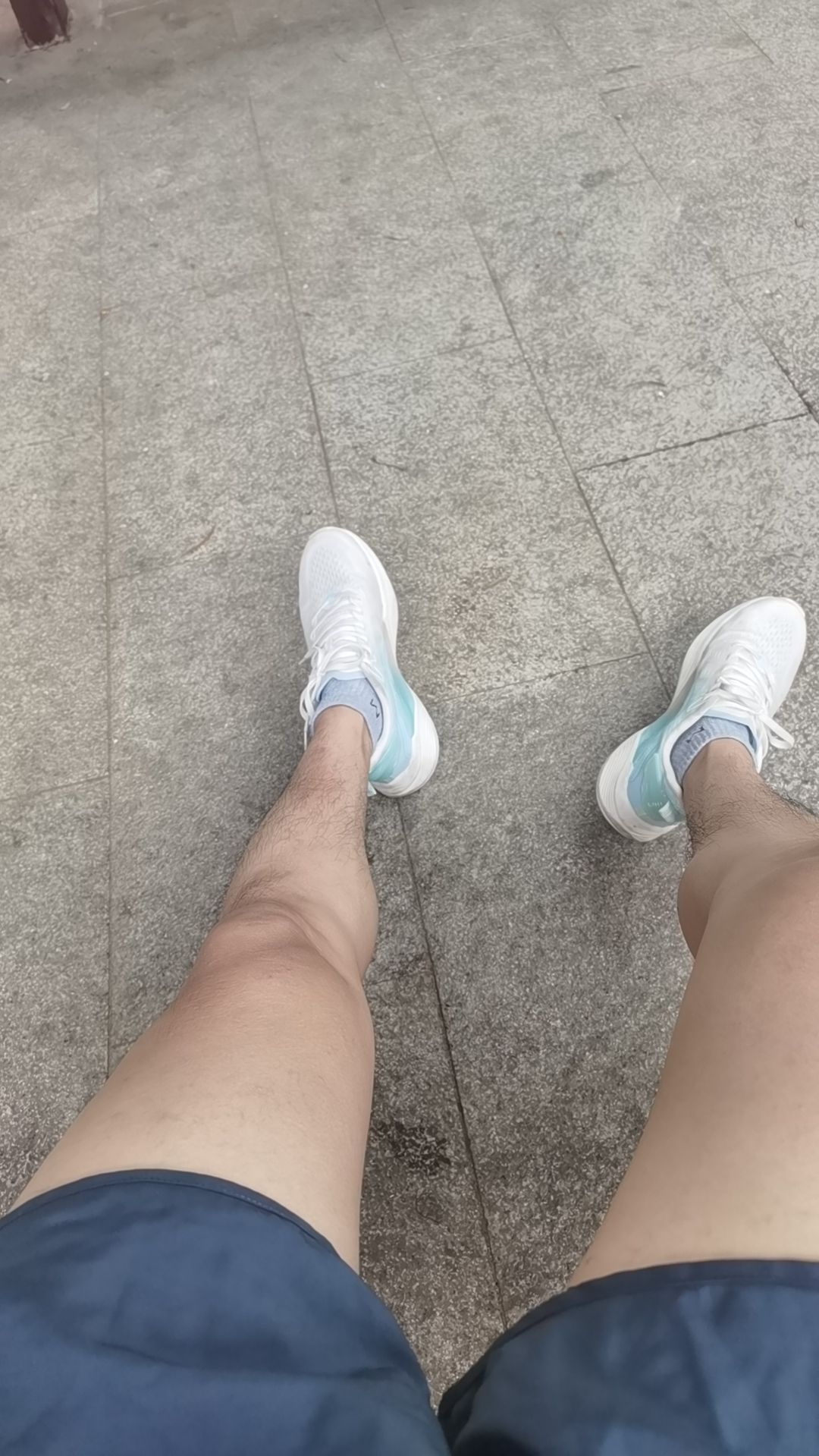 天马山郊野公园旅行图片 2