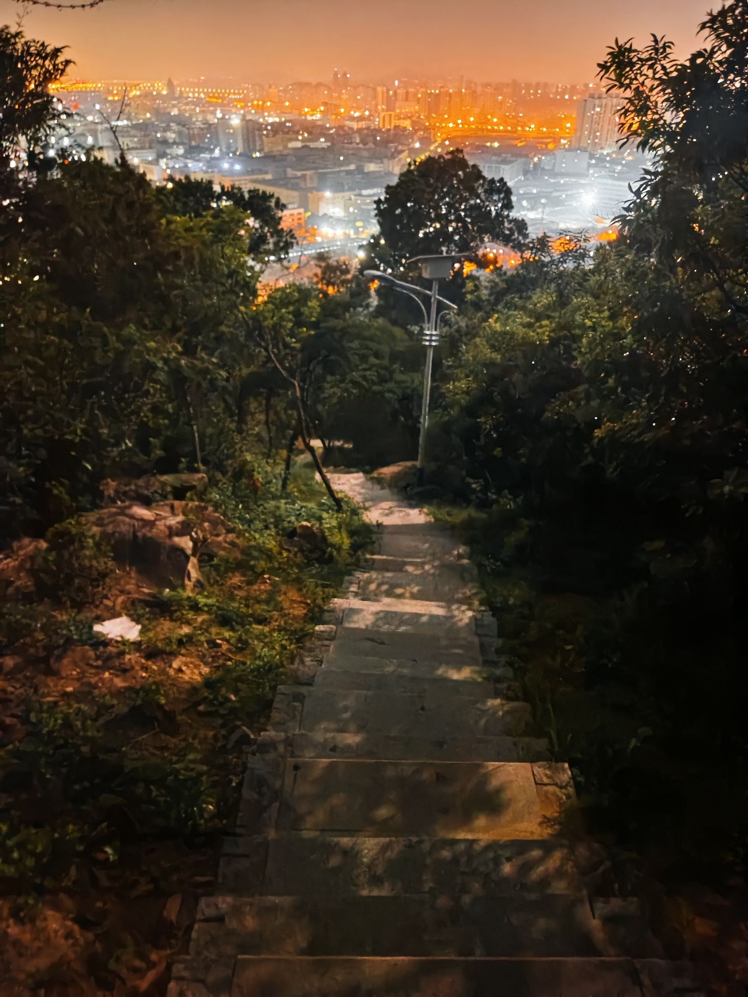 天马山郊野公园旅行图片 1