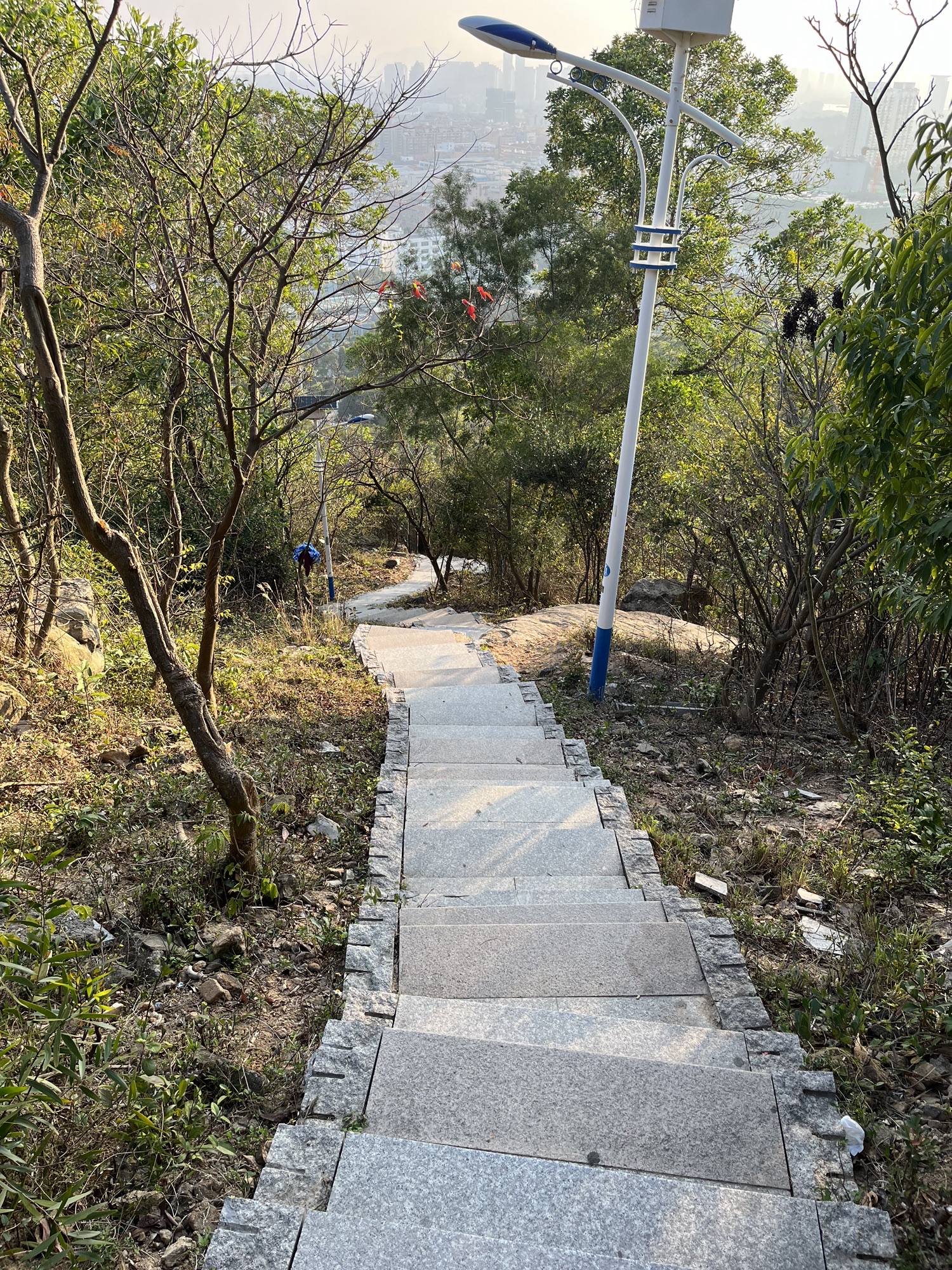 天马山郊野公园旅行图片 2