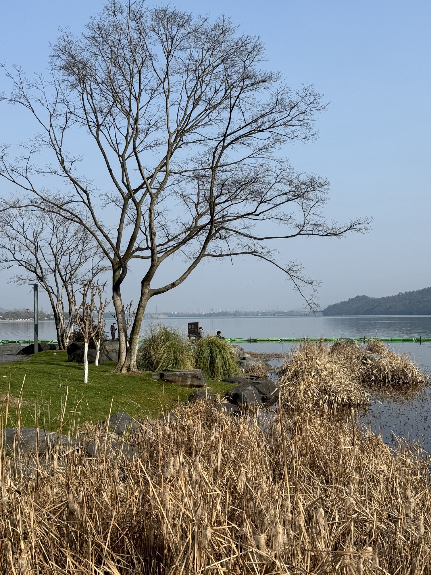 观楚台旅行图片 2