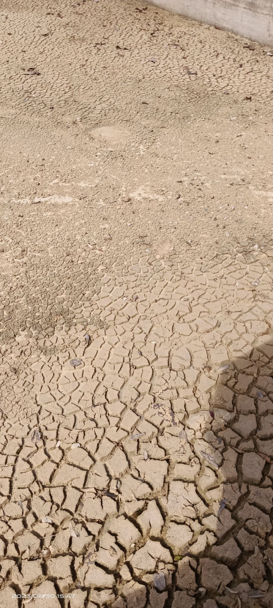 模范龙潭风景区旅行图片 1