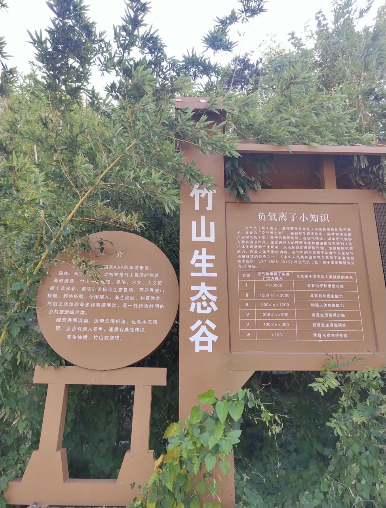 竹山生态谷旅行图片 2