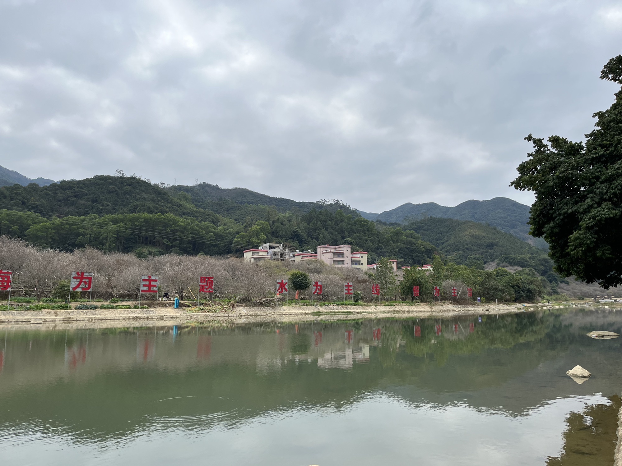 万梅谷文化小镇旅行图片 3