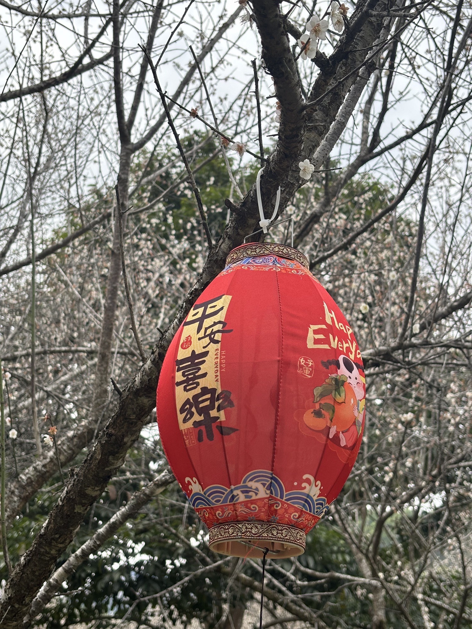 万梅谷文化小镇旅行图片 1