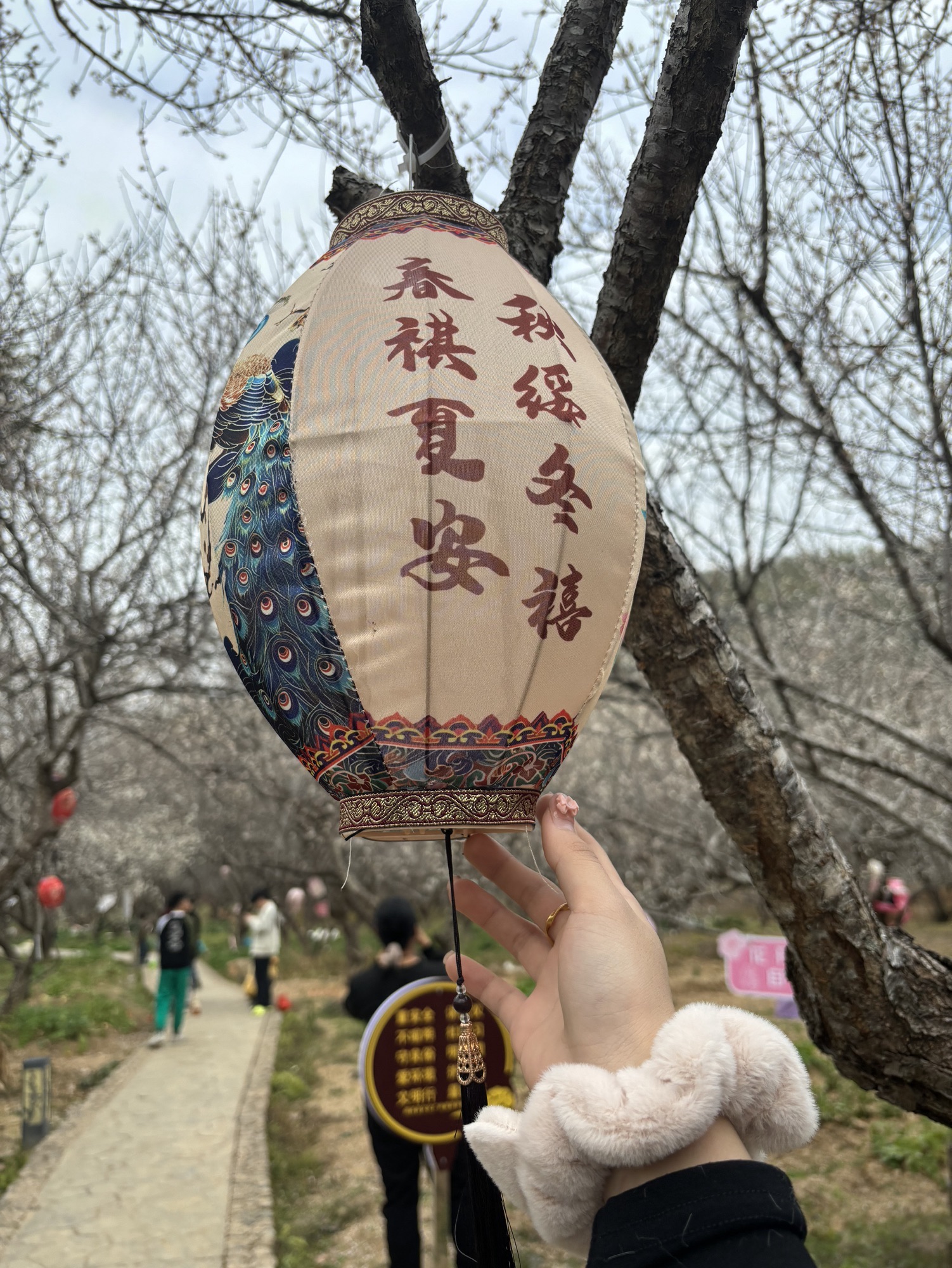 万梅谷文化小镇旅行图片 3