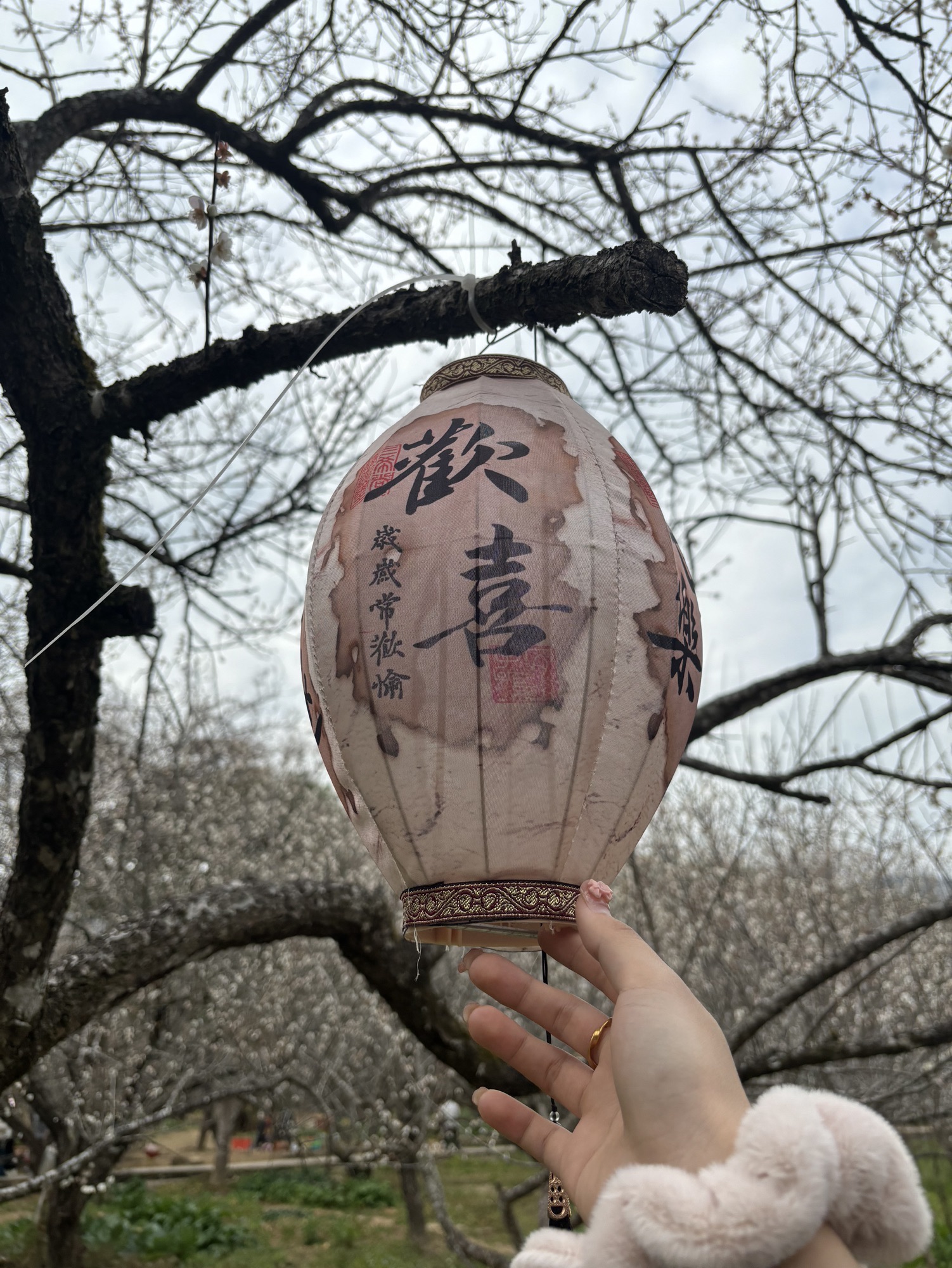 万梅谷文化小镇旅行图片 2