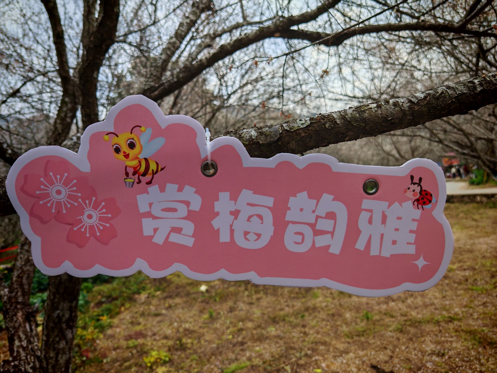 万梅谷文化小镇旅行图片 1
