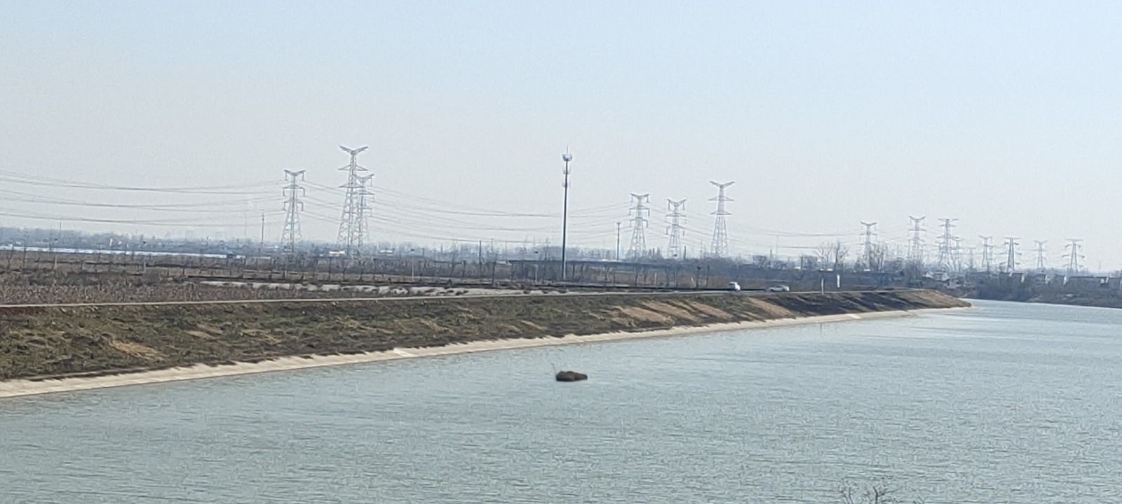 池杉湖人行桥旅行图片 3