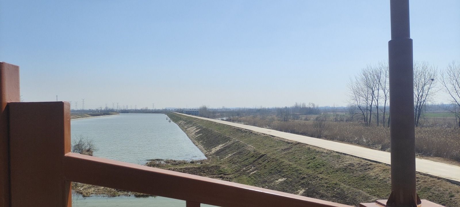 池杉湖人行桥旅行图片 2