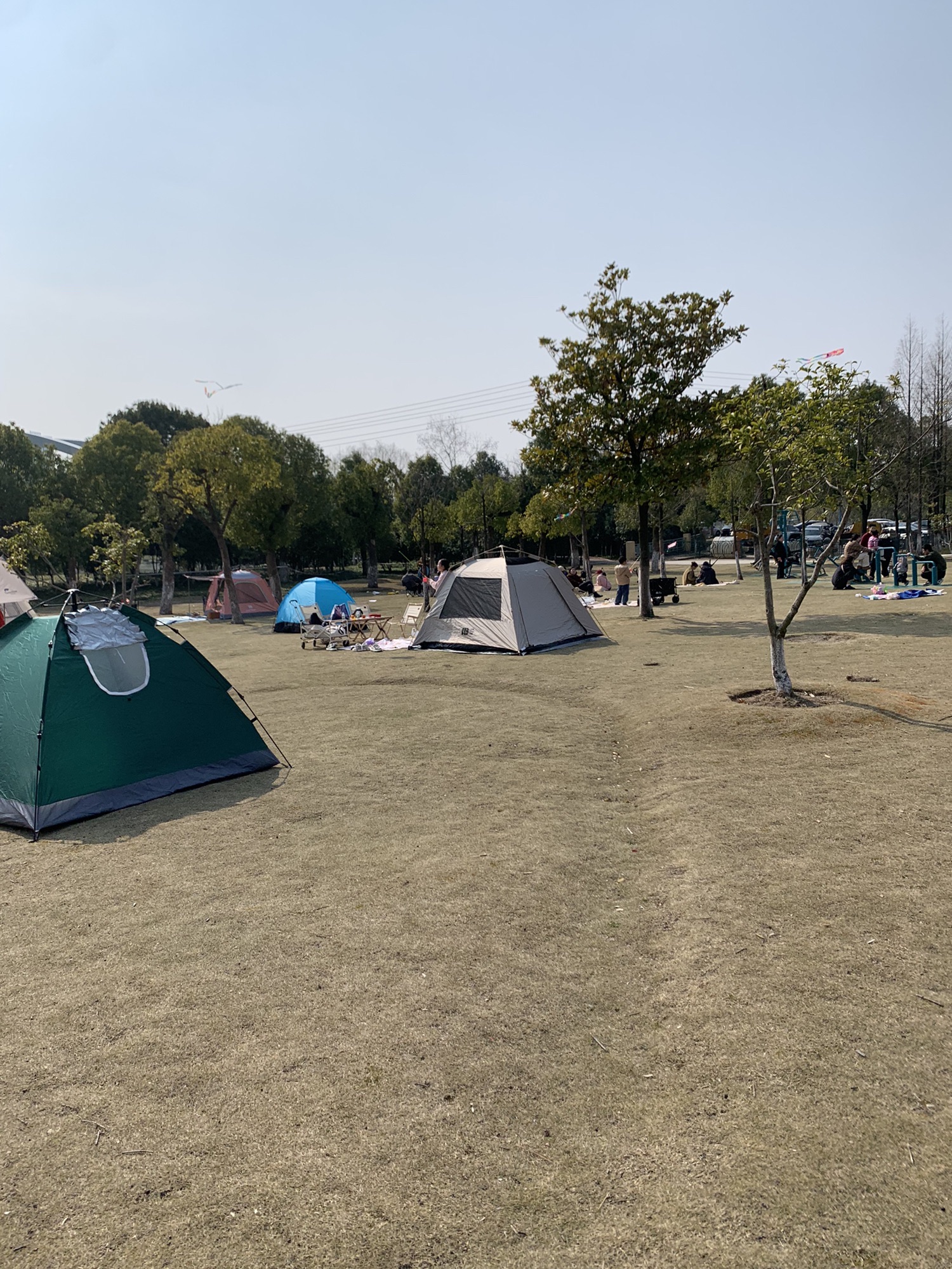 坎墩街道健康主题公园旅行图片 1