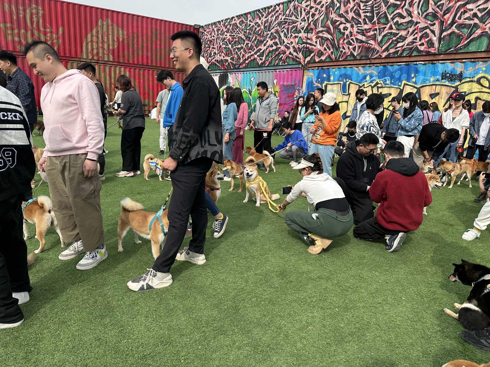 BDMG涂鸦公园旅行图片 3