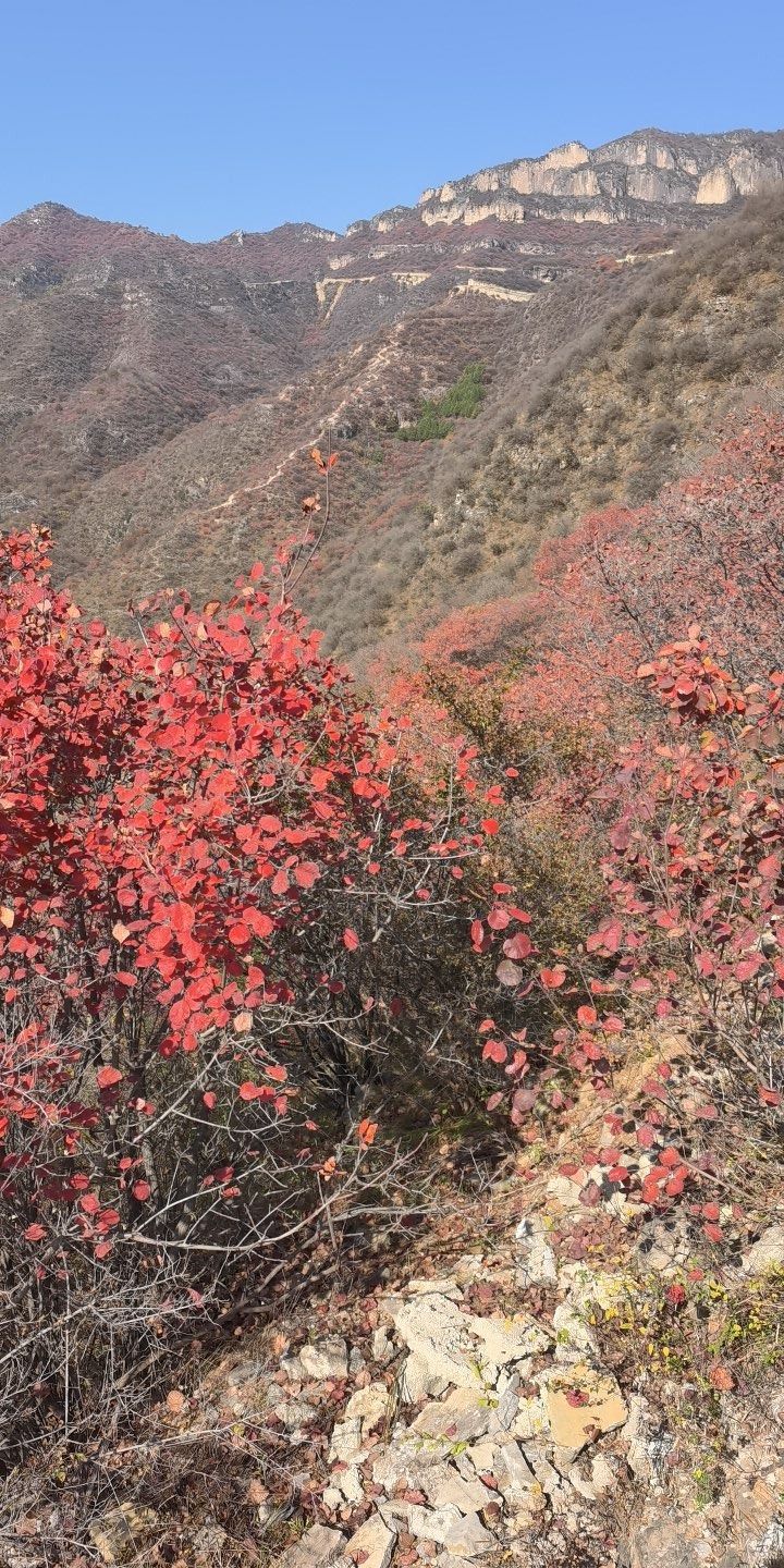 庄子岭景区旅行图片 3
