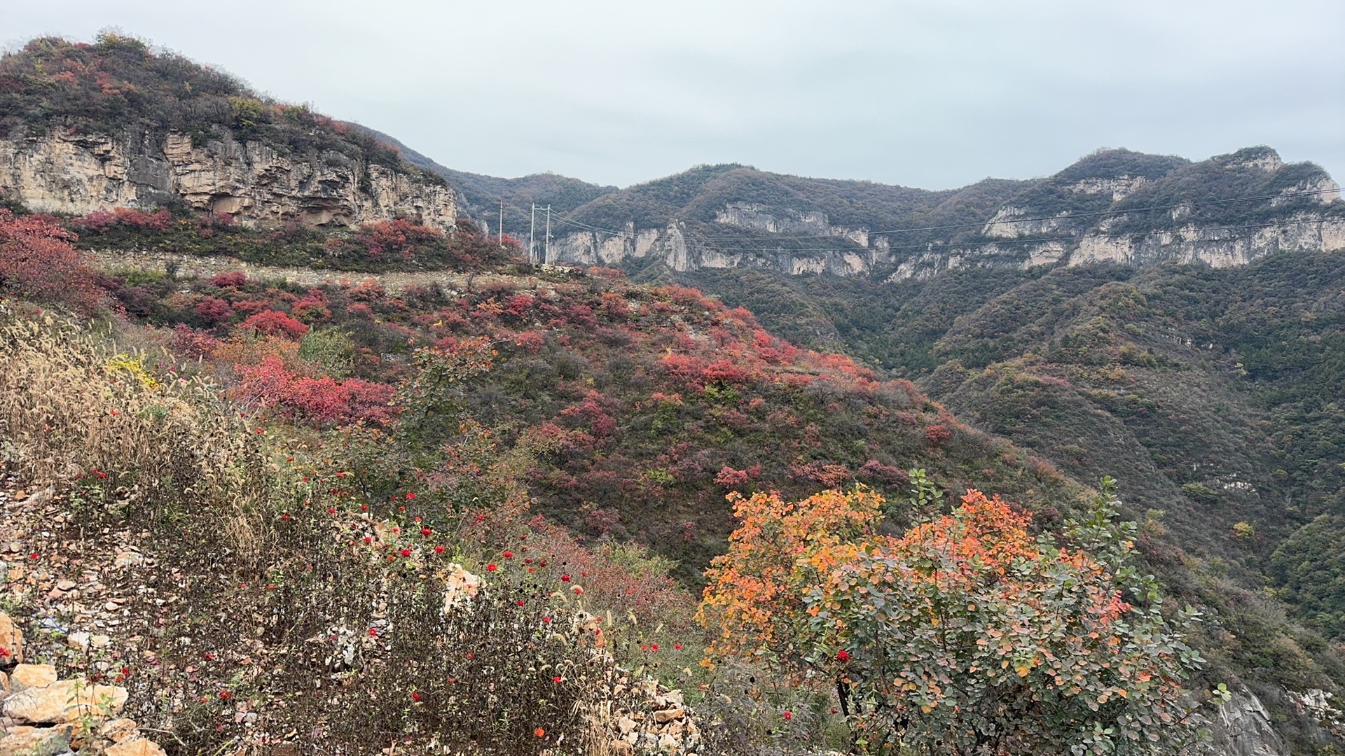 庄子岭景区旅行图片 2