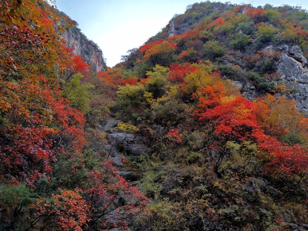 庄子岭景区旅行图片 1