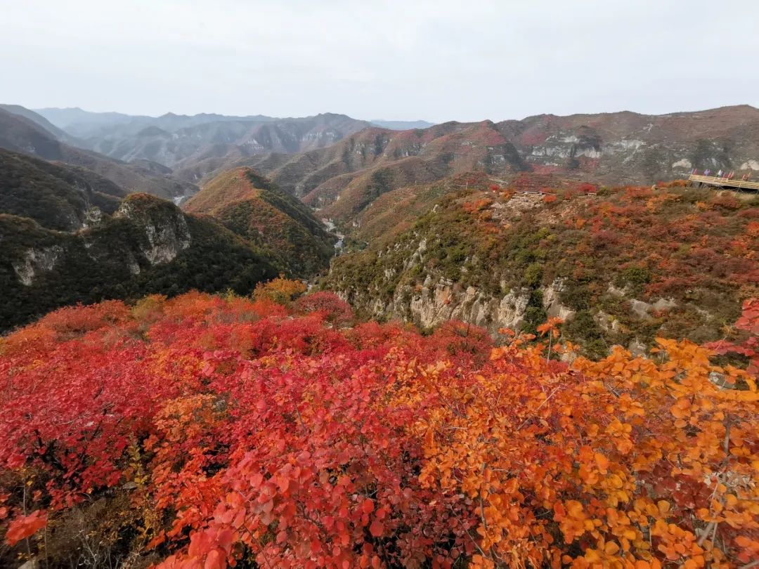 庄子岭景区旅行图片 3