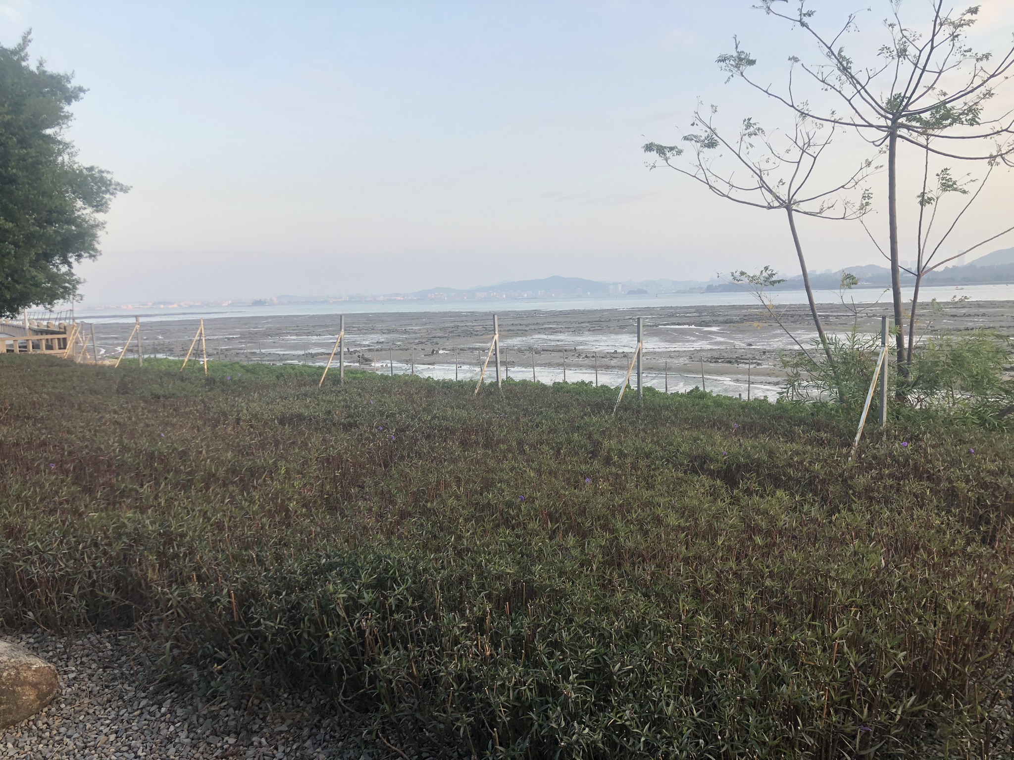 马銮桥头公园旅行图片 3