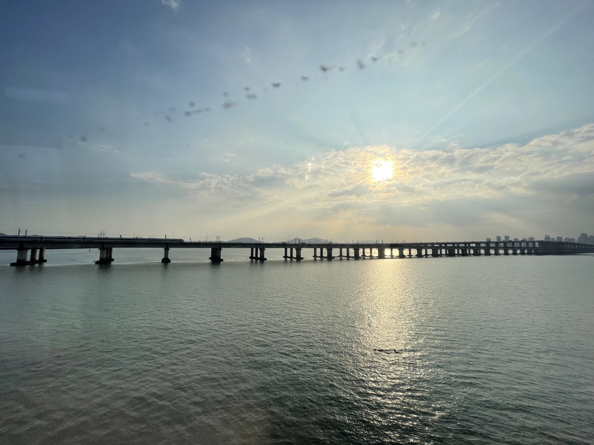 集美大桥桥头公园旅行图片 2