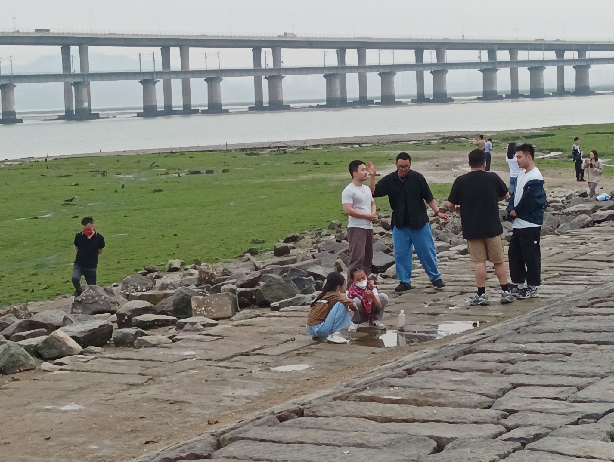 集美大桥桥头公园旅行图片 1