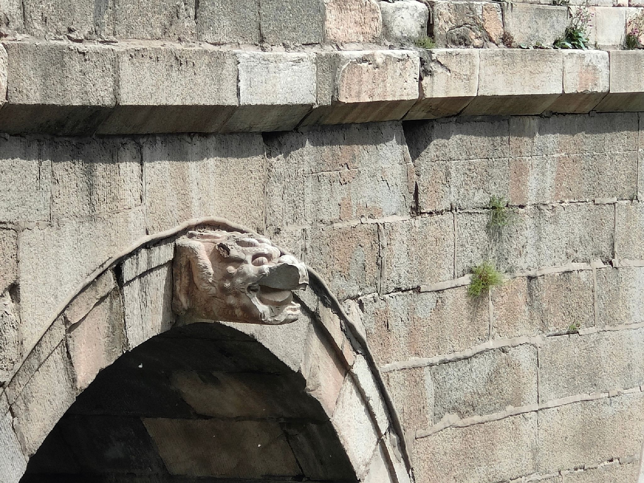 涿州下胡良桥旅行图片 3