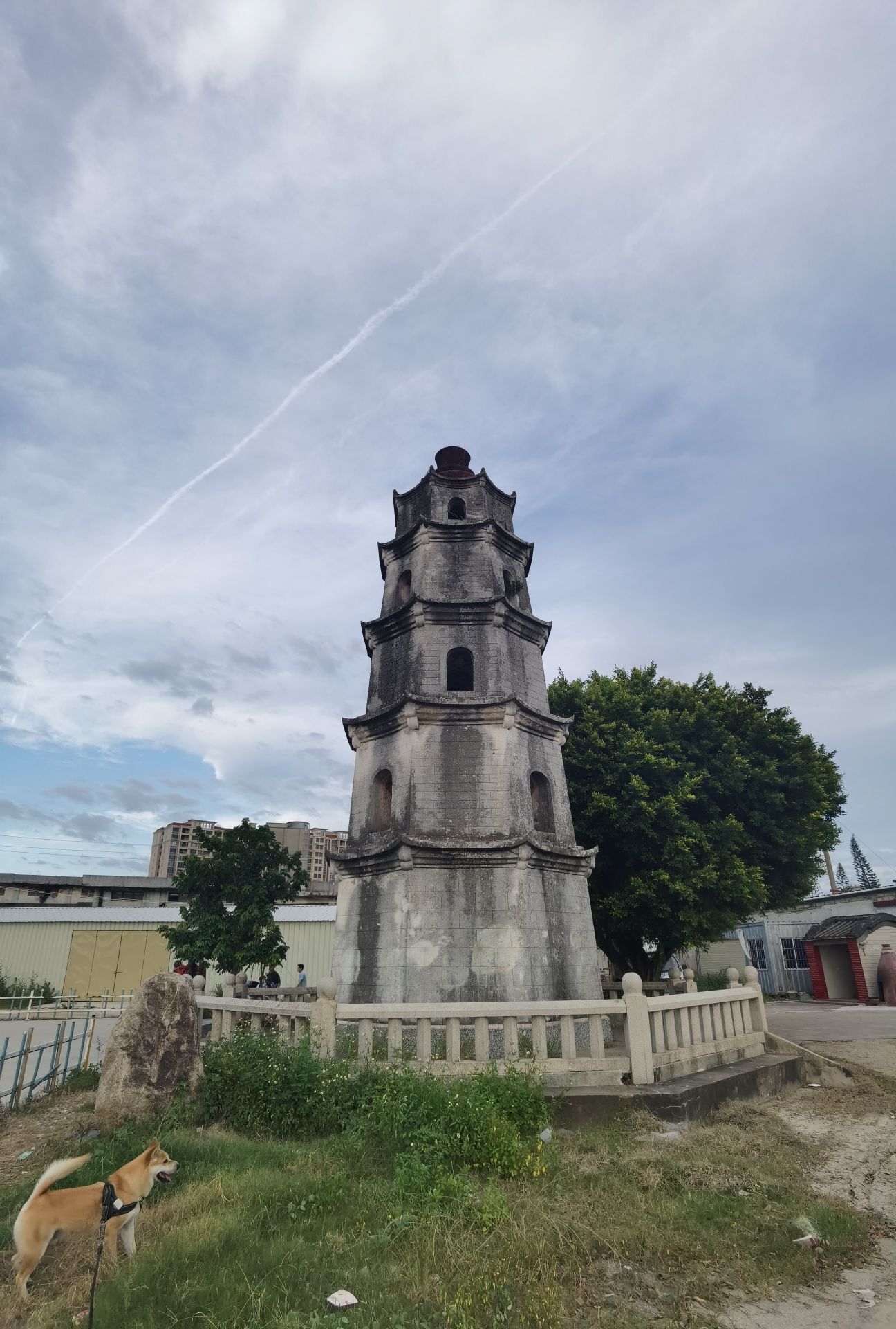 出海口观景台旅行图片 3