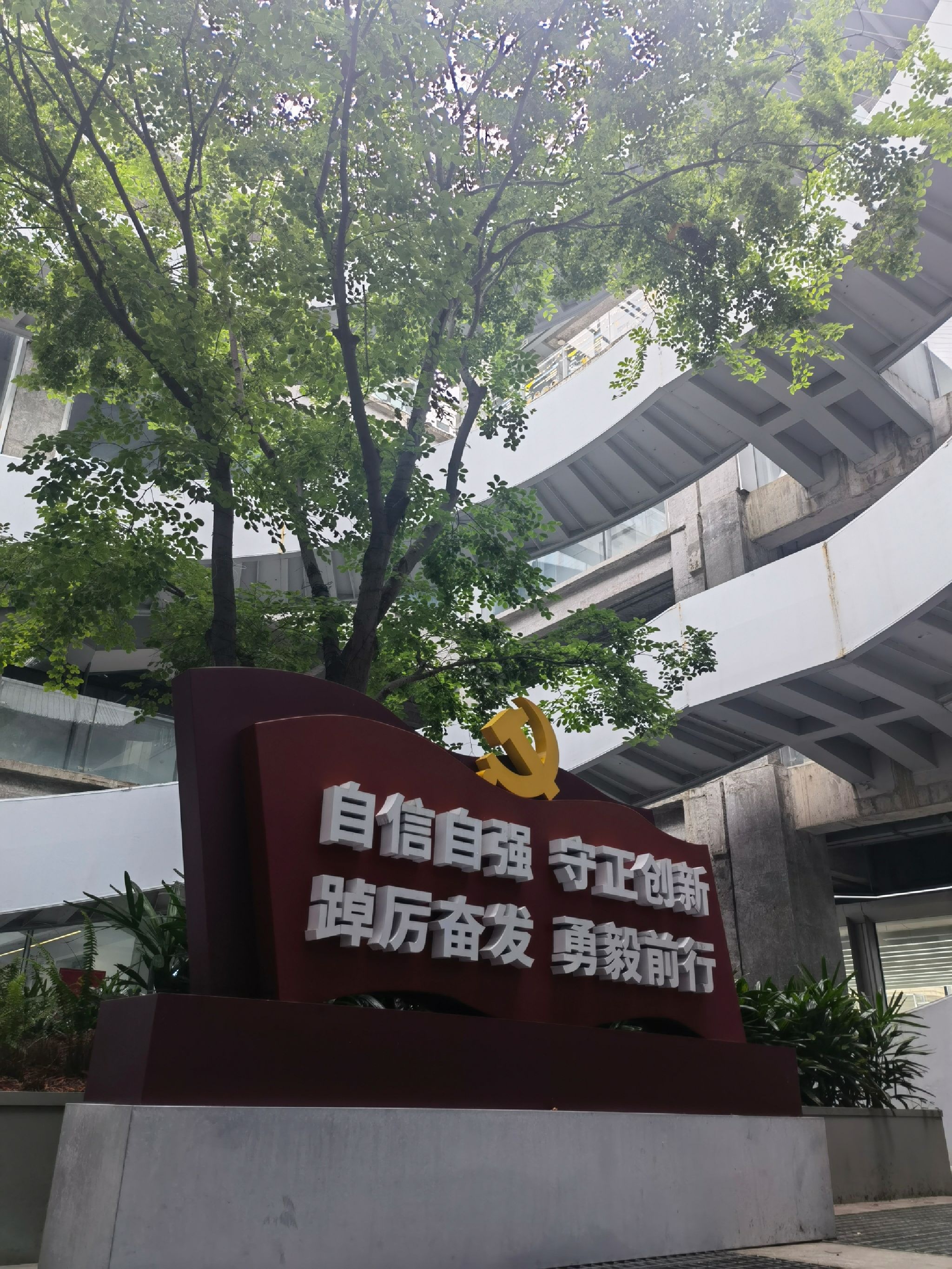 绿之丘旅行图片 1