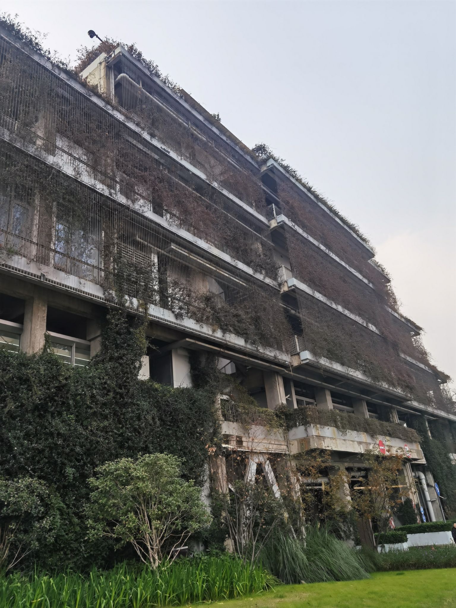 绿之丘旅行图片 2