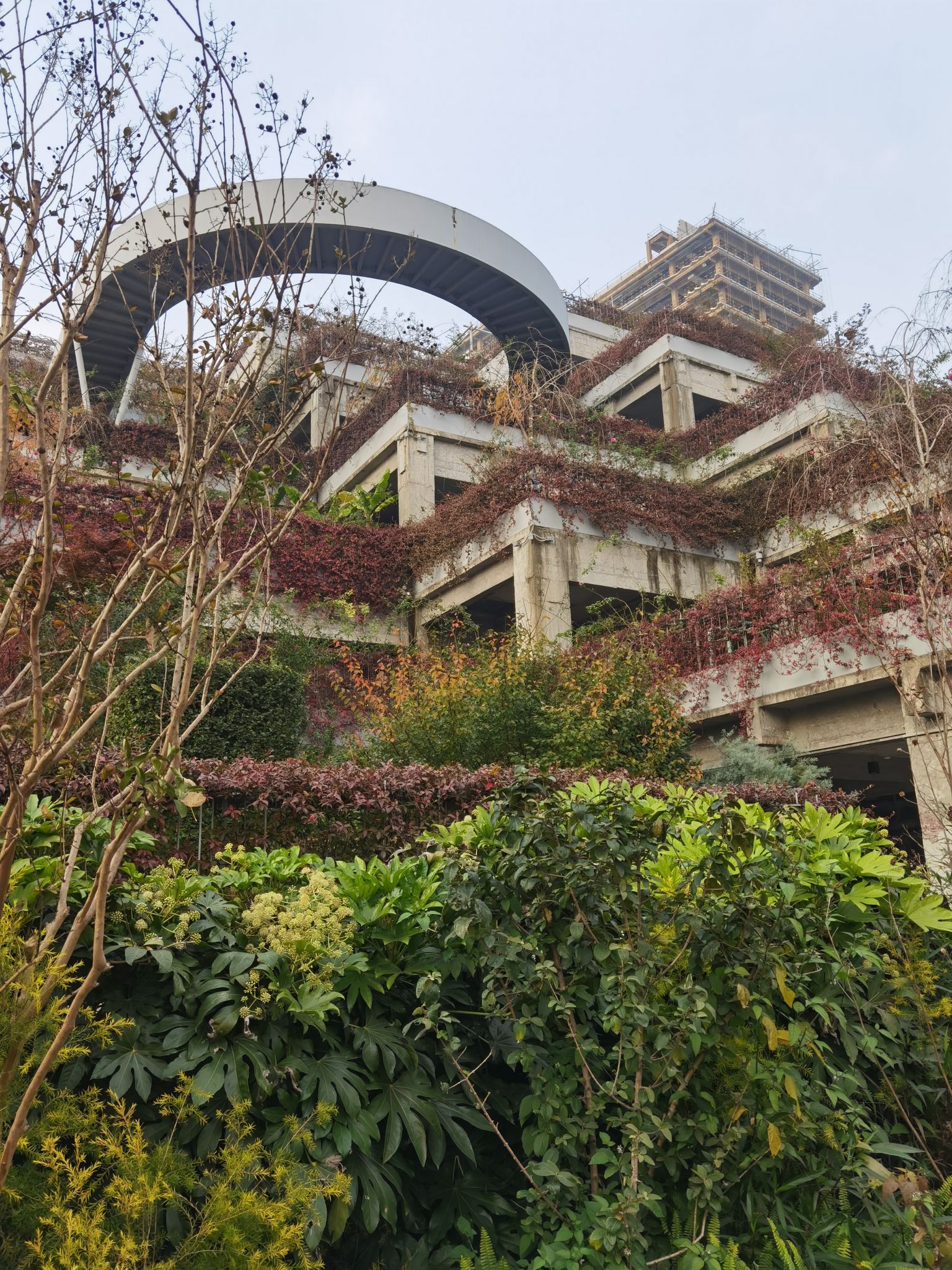 绿之丘旅行图片 1