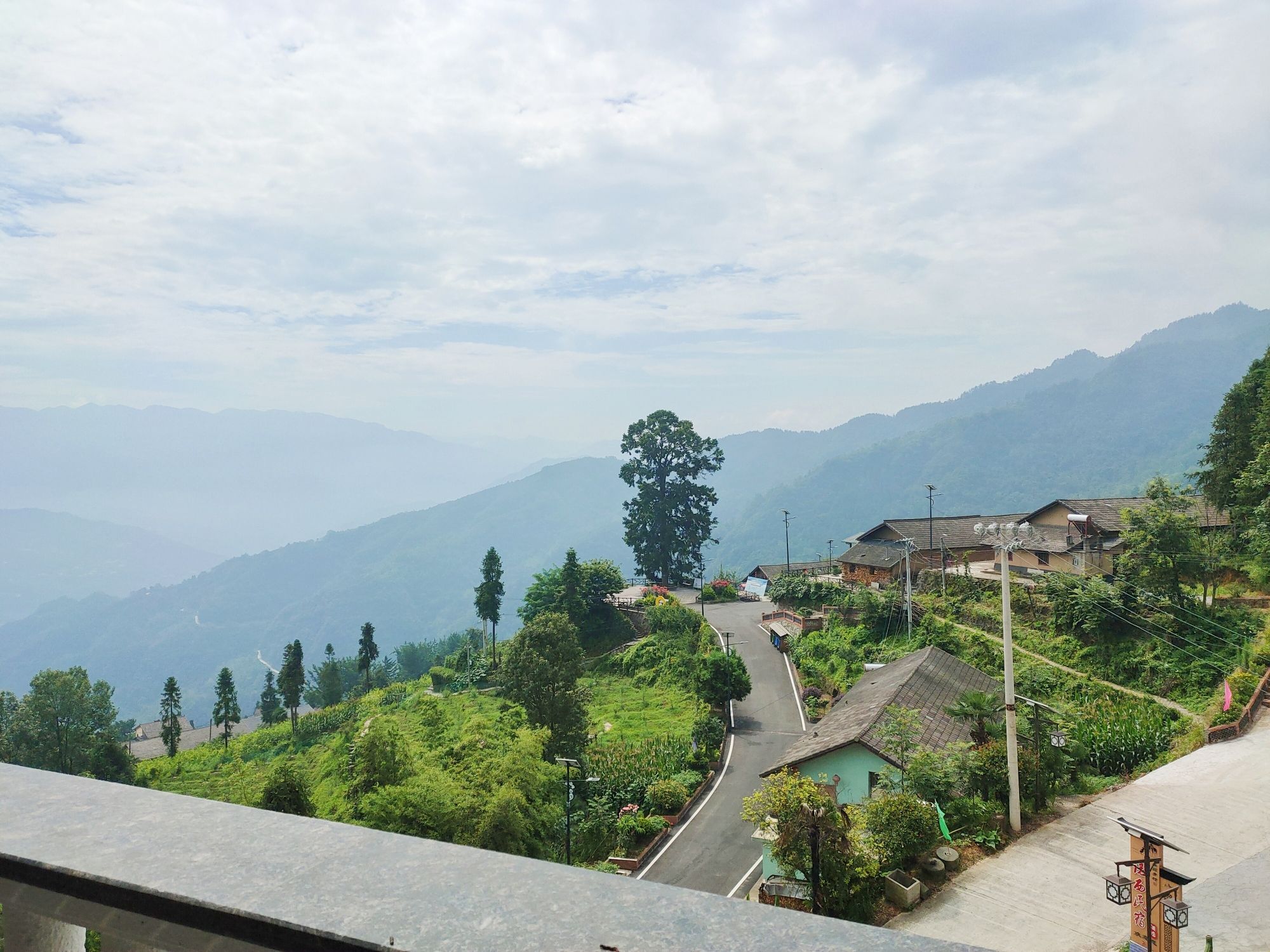 兴山县岩岭大杉树景区旅行图片 1