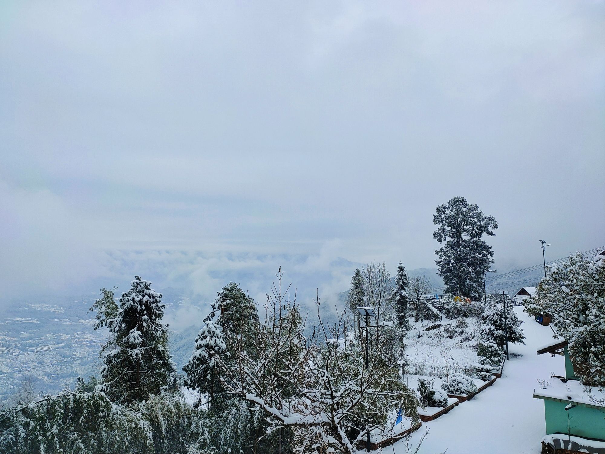 兴山县岩岭大杉树景区旅行图片 1