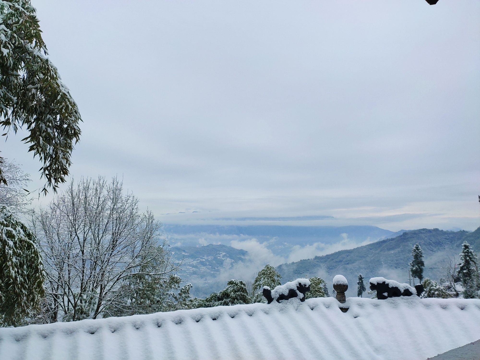 兴山县岩岭大杉树景区旅行图片 3