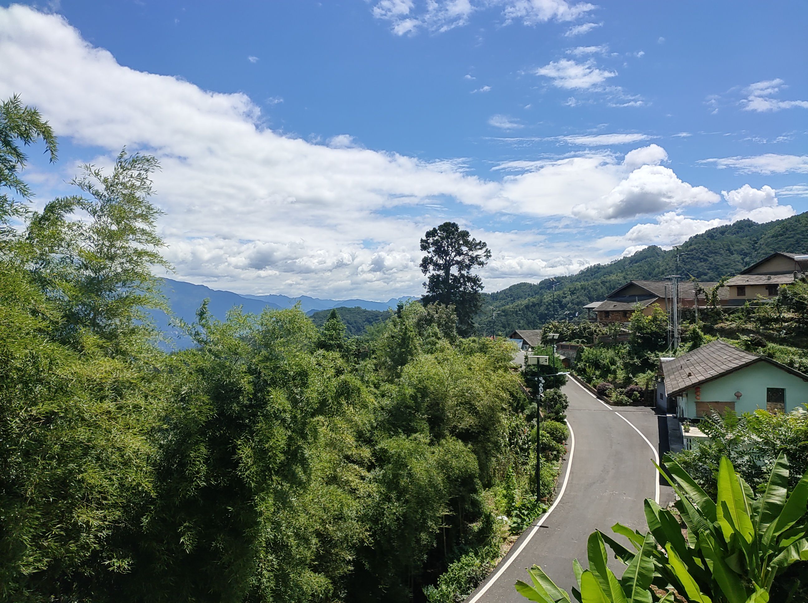 兴山县岩岭大杉树景区