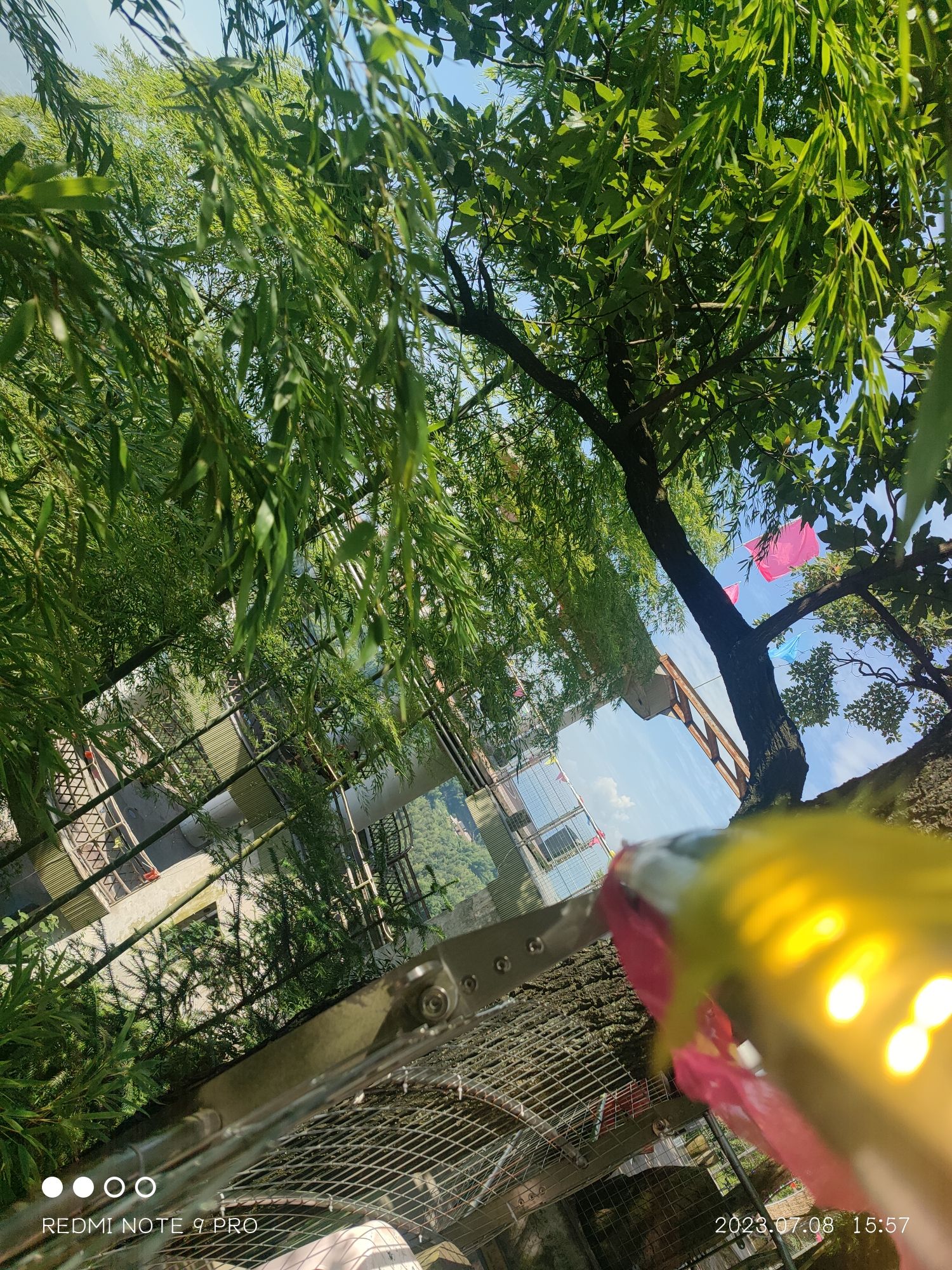 望乡台旅行图片 2