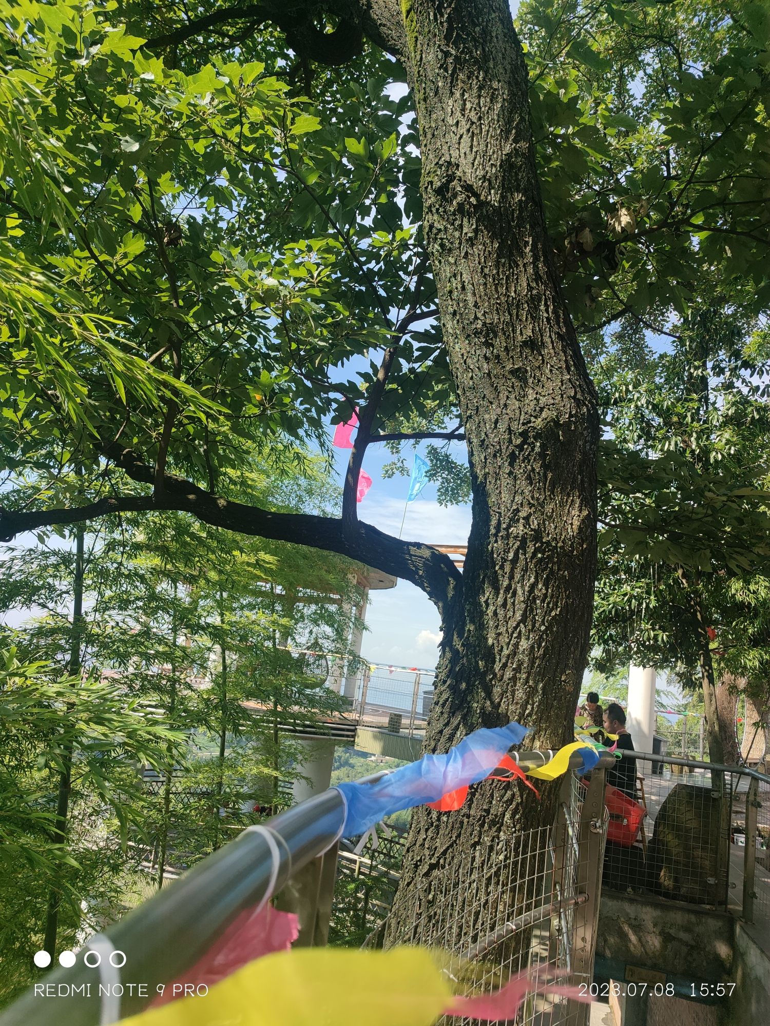 望乡台旅行图片 3