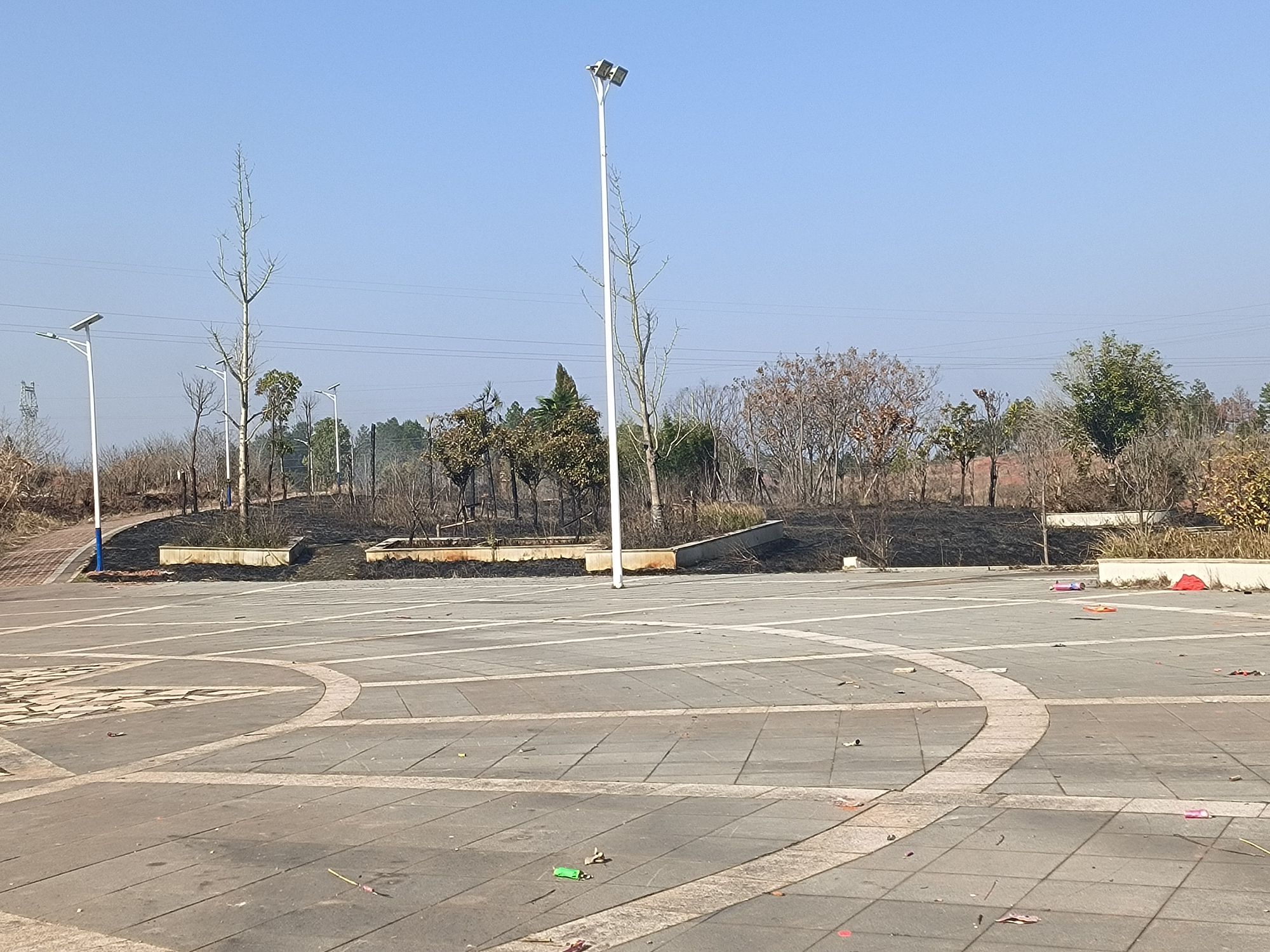 里田镇森林公园旅行图片 2