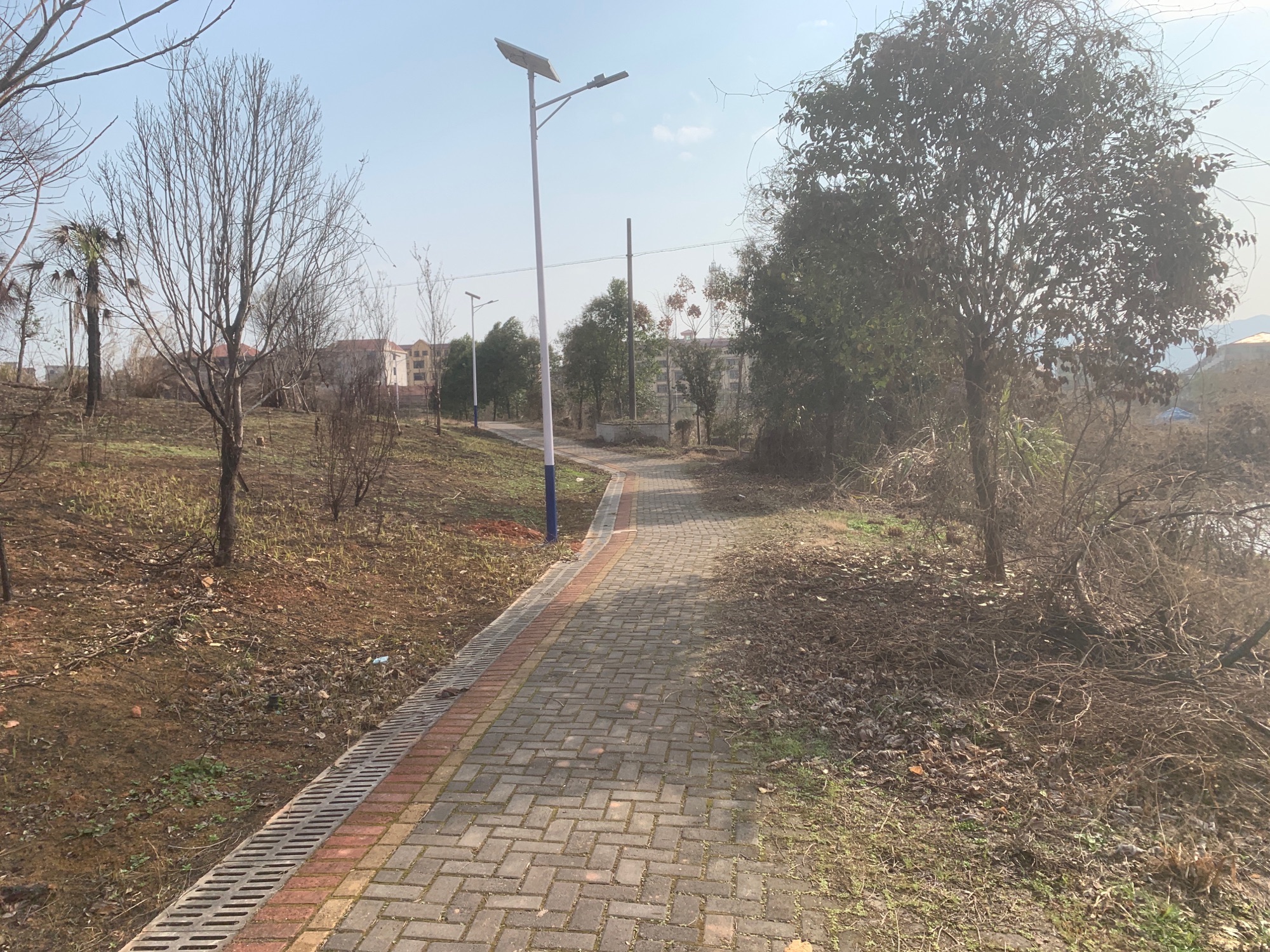 里田镇森林公园旅行图片 2