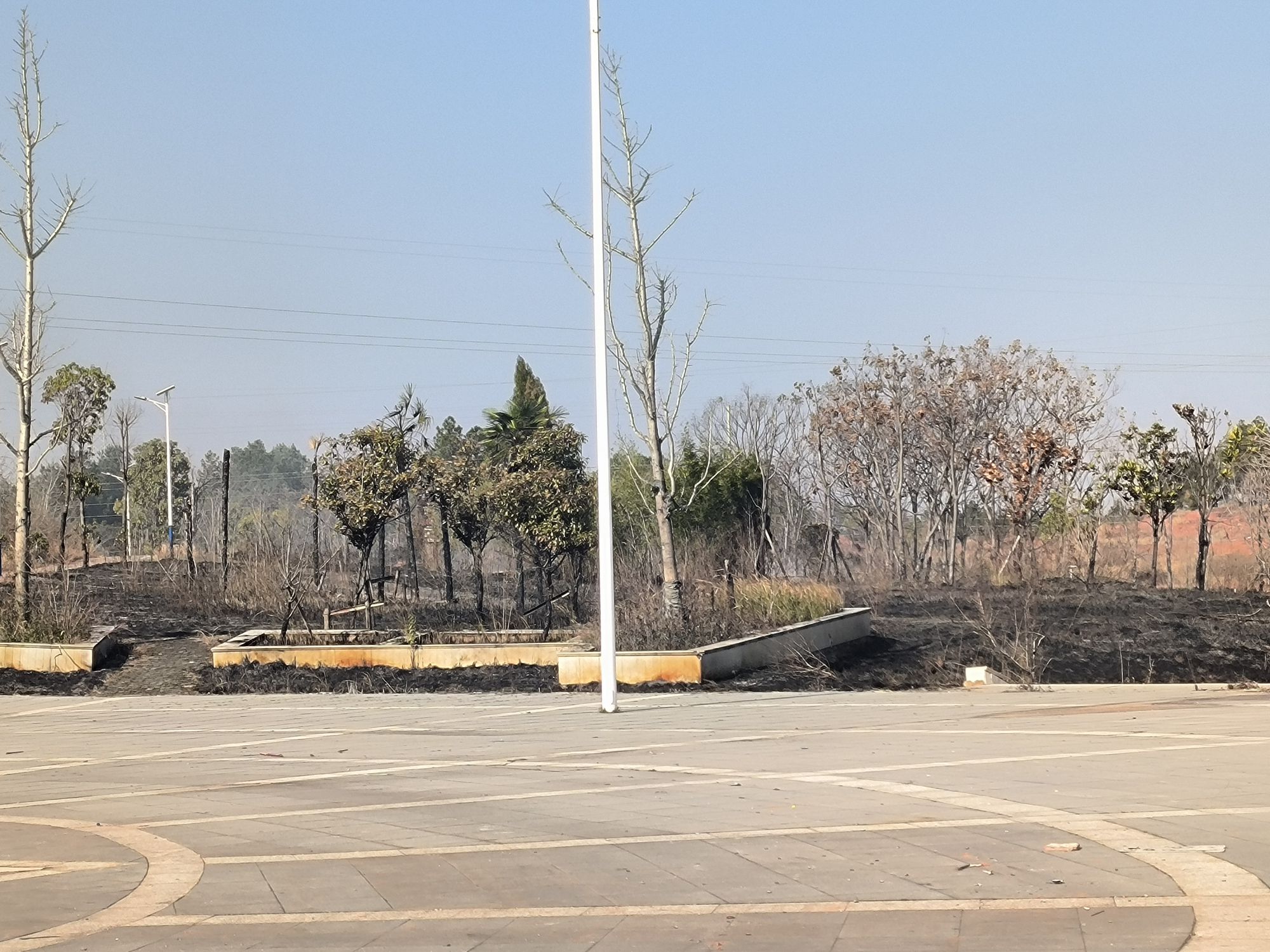 里田镇森林公园旅行图片 1