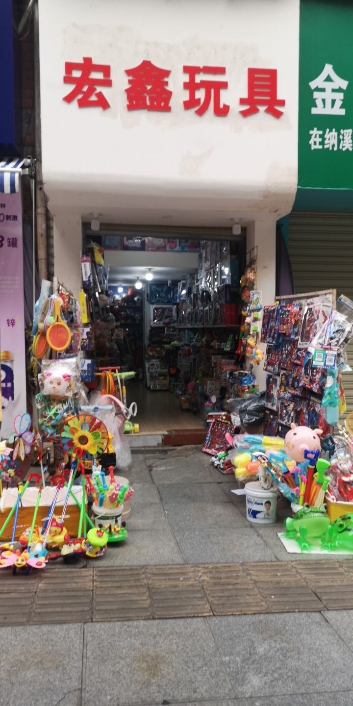 宏鑫玩具(商业步行街店)