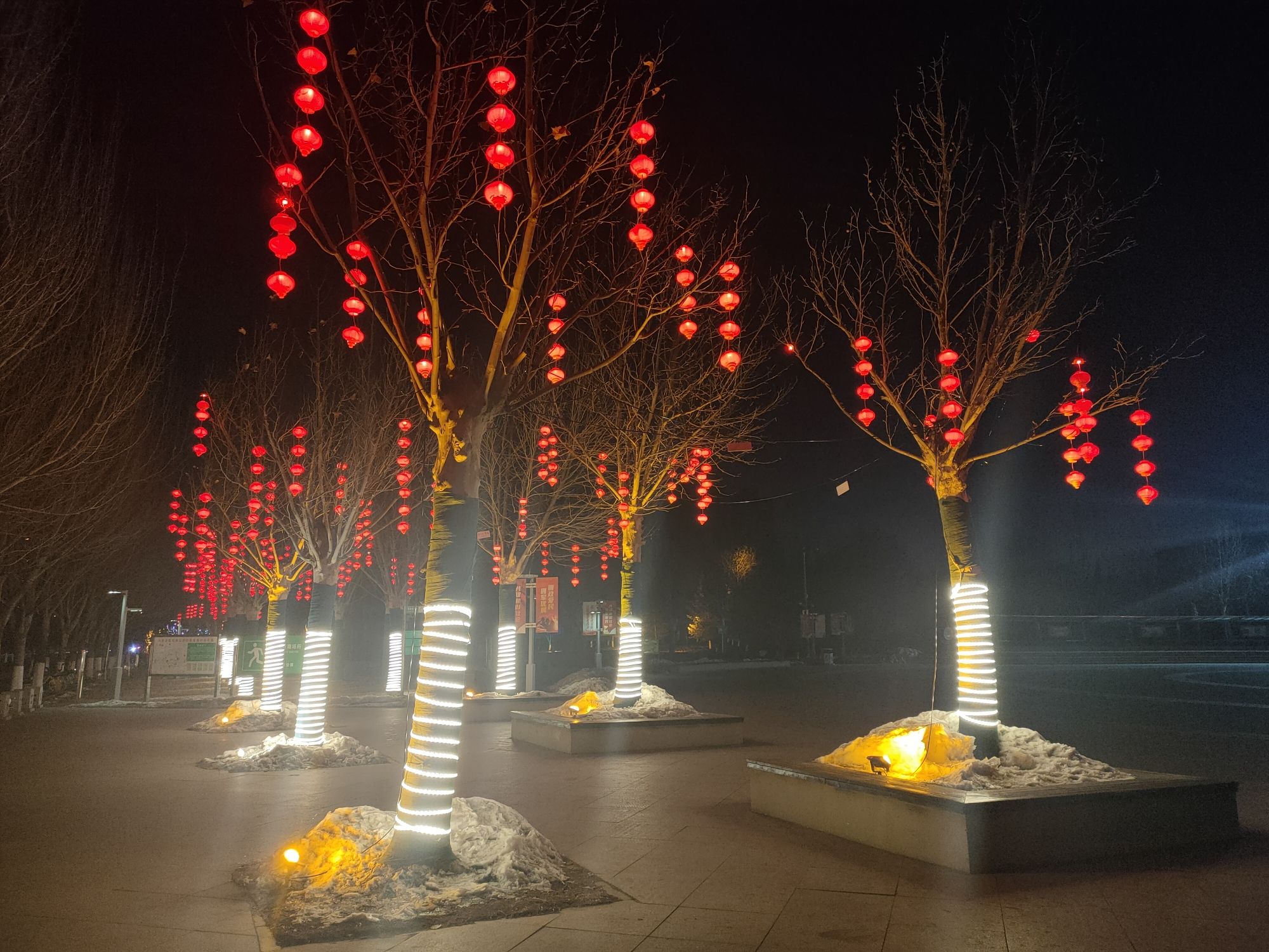双拥公园旅行图片 3