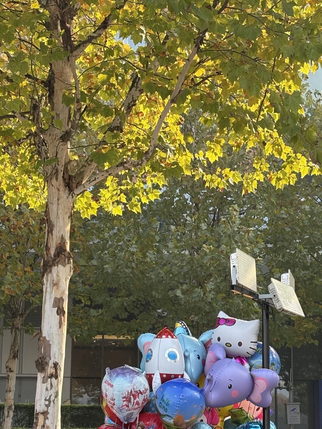 龙塘湖公园旅行图片 1