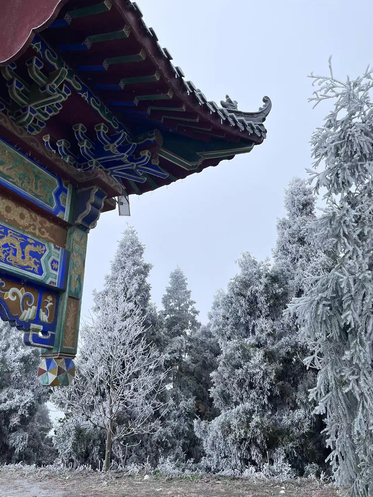 胡仙古迹旅行图片 1