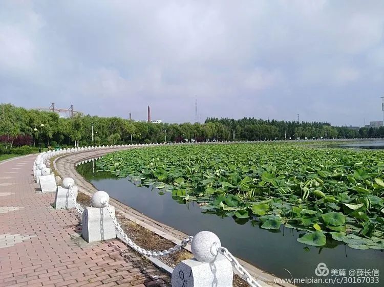 爱民湖旅行图片 3