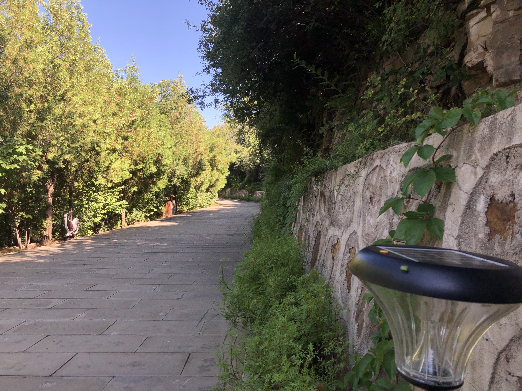 太原龙山景区旅行图片 2