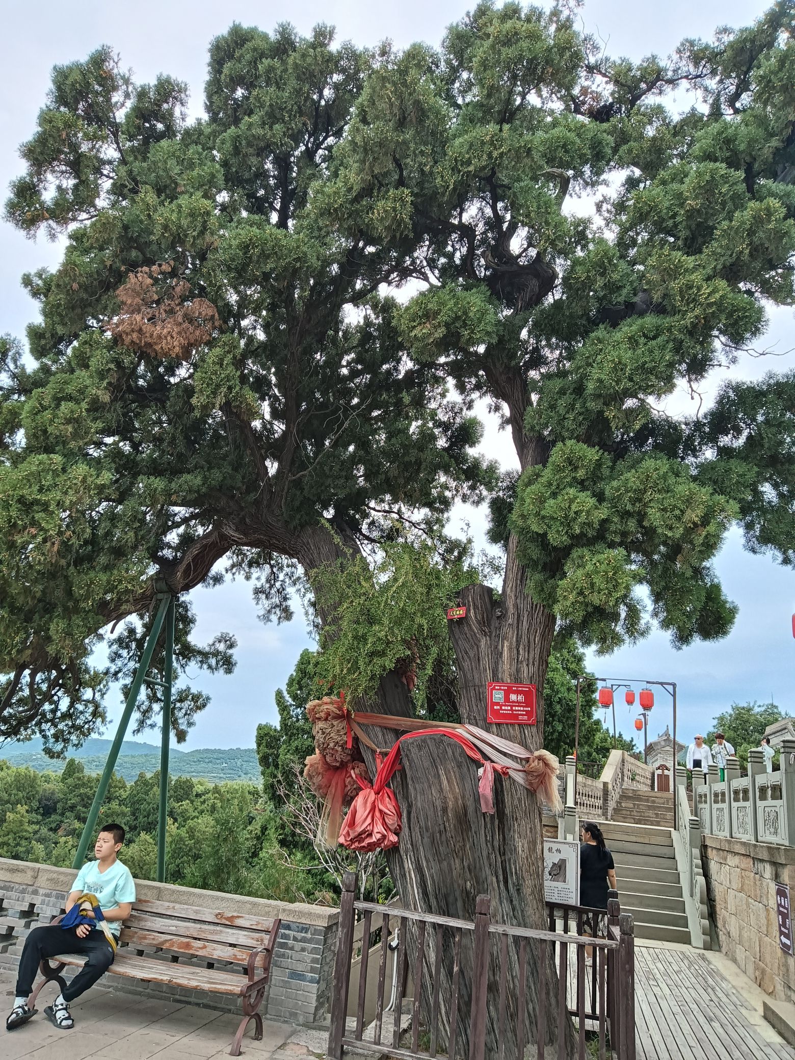 太原龙山景区旅行图片 2