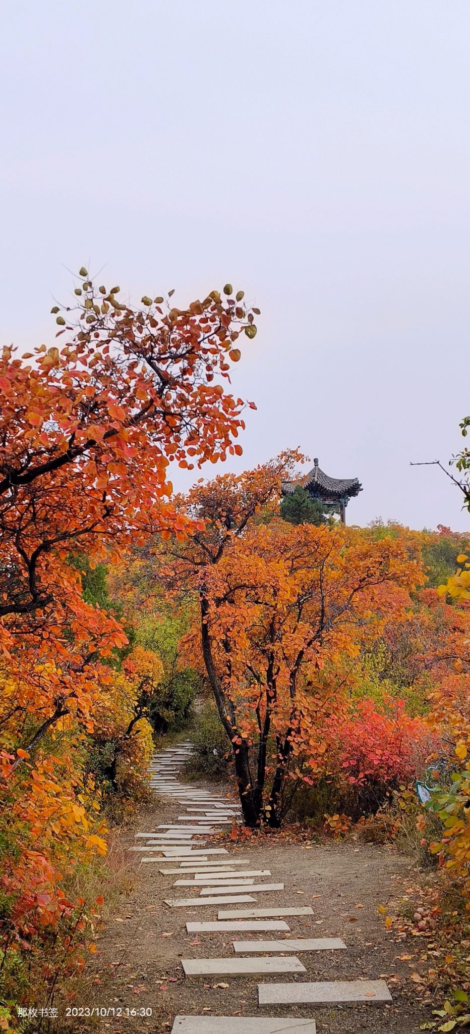 太原龙山景区旅行图片 3