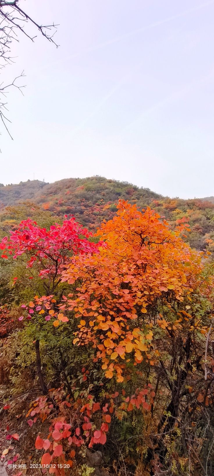 太原龙山景区旅行图片 1