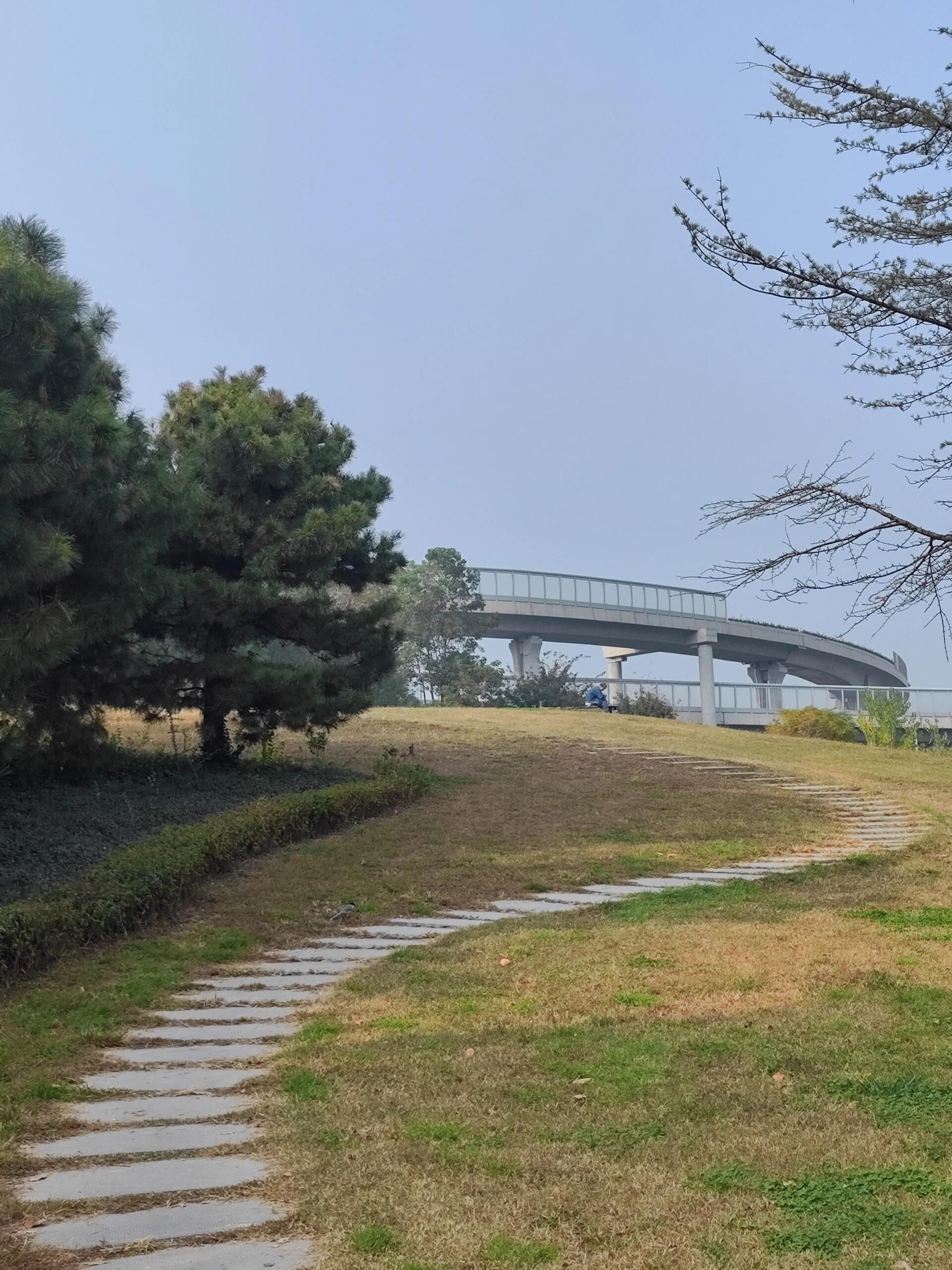 龙湖外环公园旅行图片 1